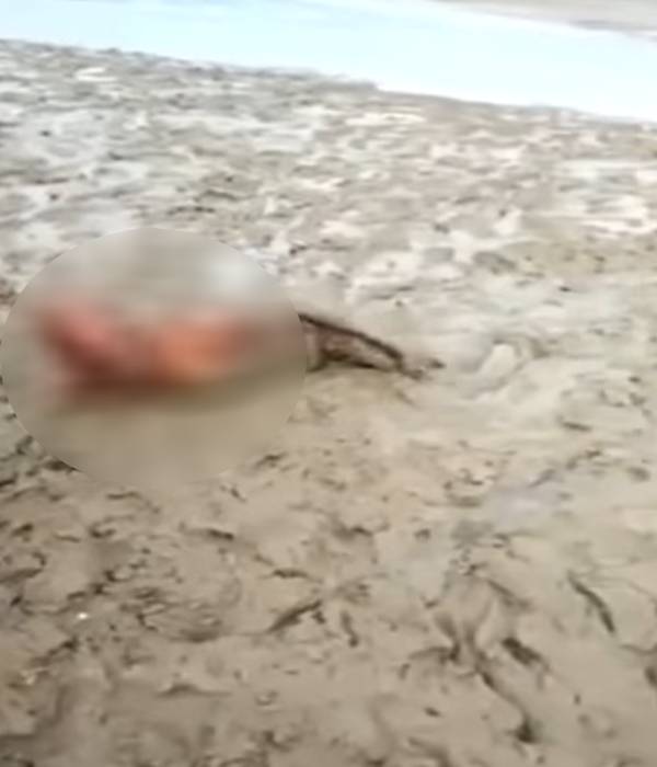 புதைக்குழியில் சிக்கிய முதியவர் புதைக்குழியில் சிக்கிய முதியவர்