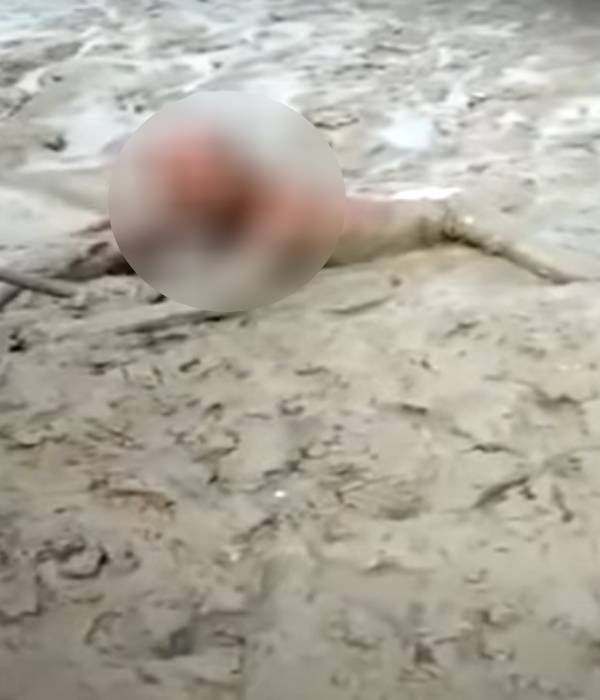 குடிநீர் தட்டுப்பாடு குடிநீர் தட்டுப்பாடு