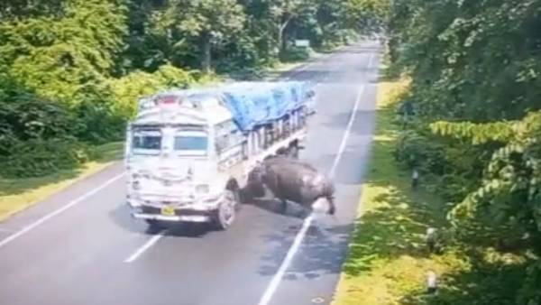 காண்டாமிருகமும், பார்வைத்திறனும்.. காண்டாமிருகமும், பார்வைத்திறனும்..