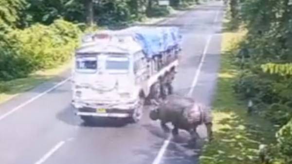 வனப் பாதையில் எச்சரிக்கை அவசியம் வனப் பாதையில் எச்சரிக்கை அவசியம்