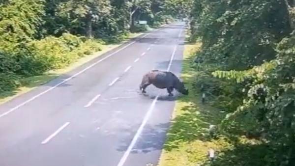 முதல்வர் கண்டனம் - அபராதம் முதல்வர் கண்டனம் - அபராதம்