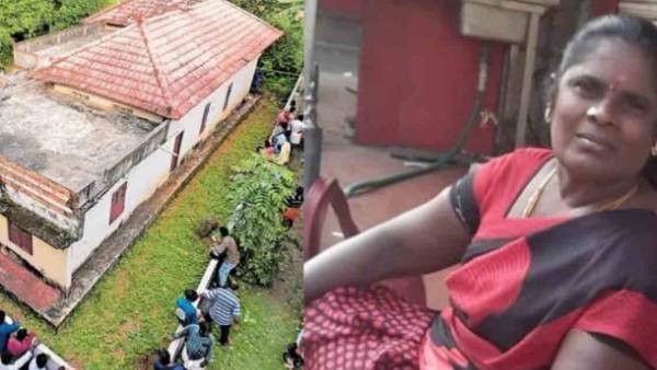 ரோஸ்லின் விலா எலும்பு ரோஸ்லின் விலா எலும்பு