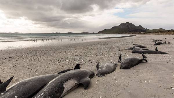  புரியாத புதிர்