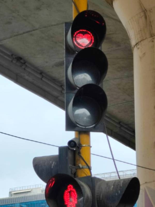 இதயம் குறித்த விழிப்புணர்வு 