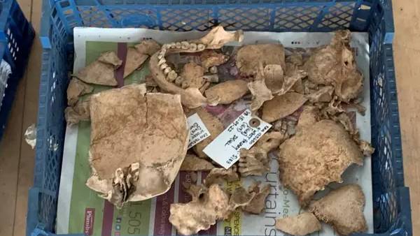  எலும்பு கூடுகள்