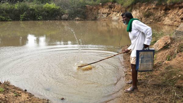 கல்மனே காமேகவுடா 