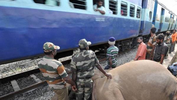 ரயில்களின் வேகத்தை குறைக்க ஆய்வு 