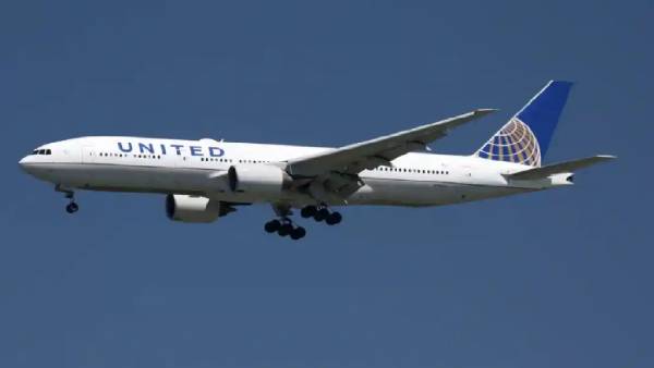 விமானத்தில் பாம்பு 