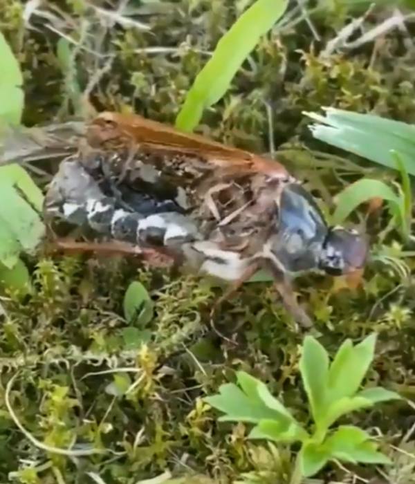  விஞ்ஞானிகள் விளக்கம் 