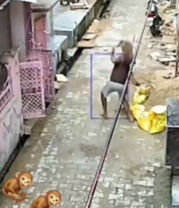 இளைஞர் மீது பாயும் குரங்கு 