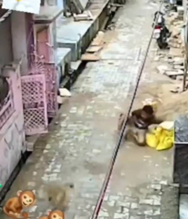 ட்விட்டரில் டிரண்ட் ஆகும் வீடியோ 