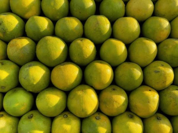 சாத்துக்குடி சாறு 