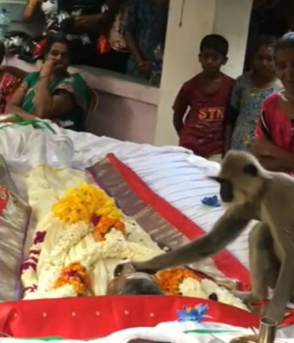  உரிமையாளர்கள் 
