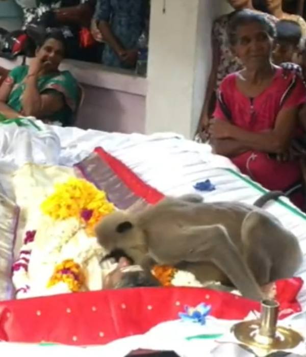 சமூகவலைதளங்கள் 