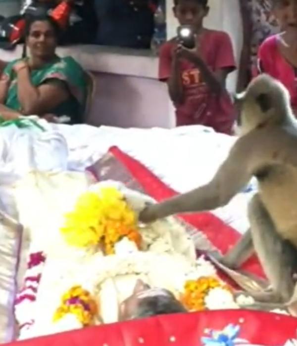 சோகம் 