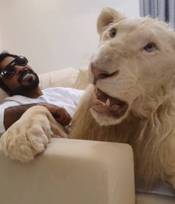  உங்களையே சாப்பிட்டு விடும் 