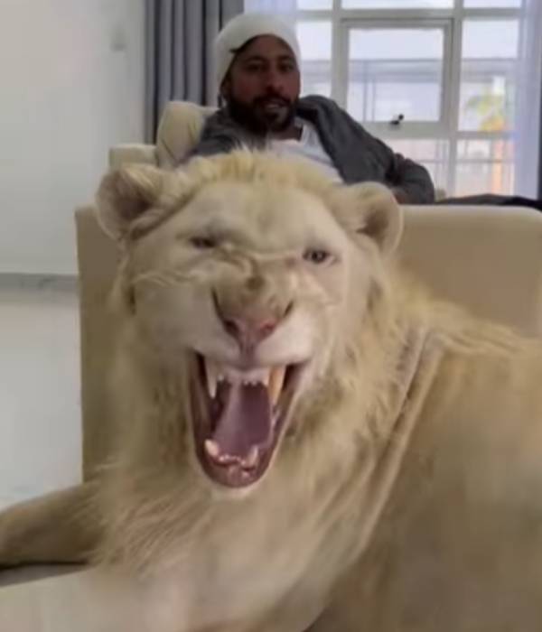  நாய்க்குட்டியை கொஞ்சுவது போல.. 