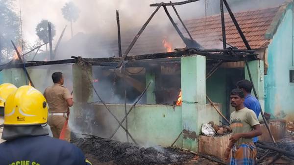 குரங்கு சேட்டை 