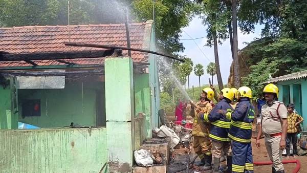 படையெடுத்த குரங்குகள் 