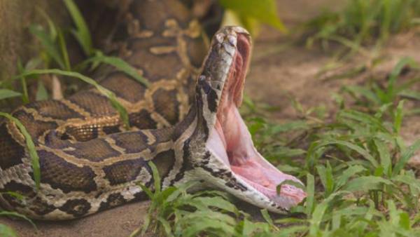  இளம் பெண்