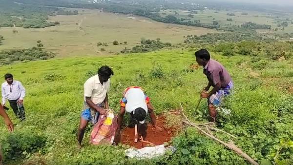  மாடு மேய்க்கச் சென்றவர்கள்