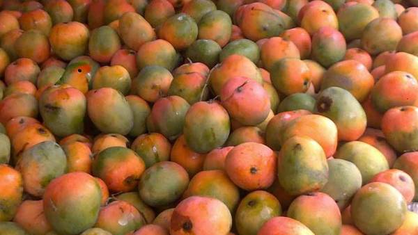 இல்யூஷன் படங்கள் இல்யூஷன் படங்கள்