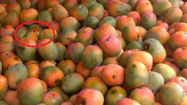 படத்தின் இடப்புறம் செண்டரில் படத்தின் இடப்புறம் செண்டரில்