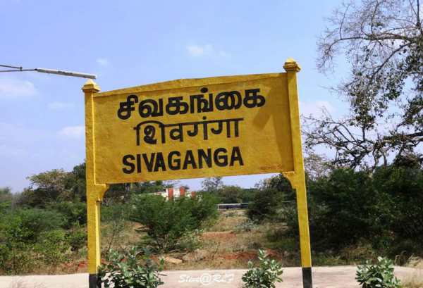 என்னென்ன விதிமுறைகள் 