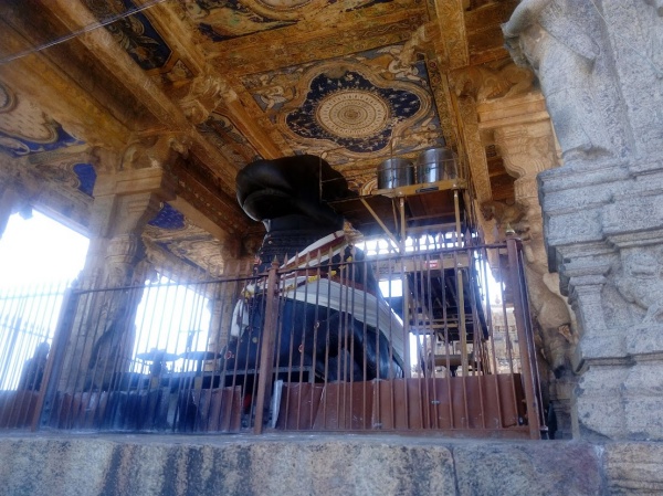 வெற்றி தரும் நாயகி வாராகி