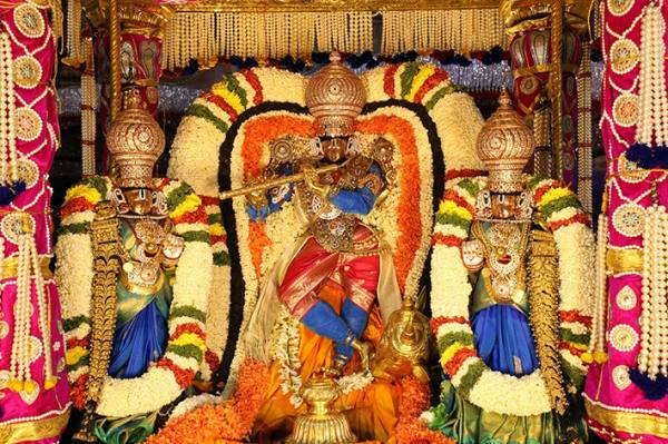 விண்ணை எட்டிய கோவிந்தா முழக்கம் 