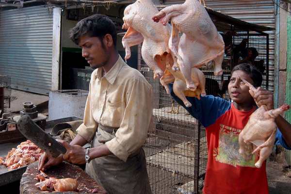 இறப்பு வருமா 