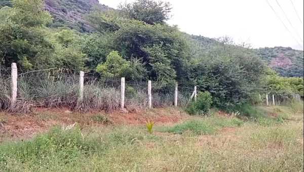 தோட்டம் 