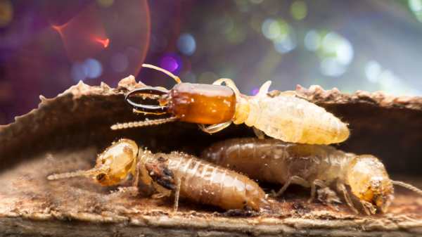 மக்கள் ஆர்வம் 