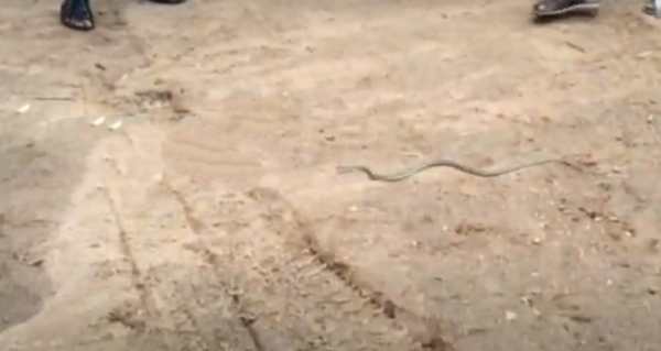 திடீர் பரபரப்பு திடீர் பரபரப்பு