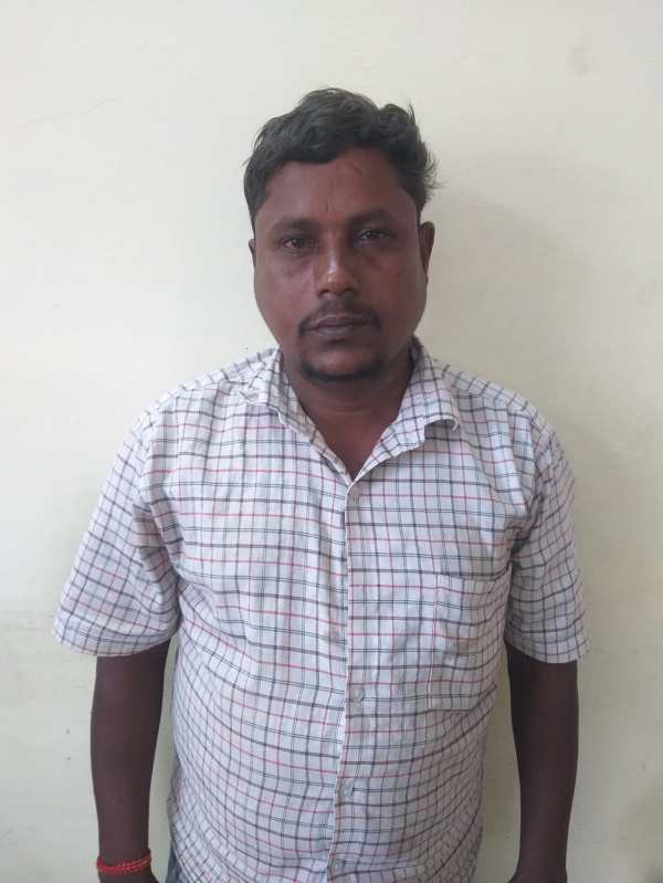 வாடகை வீட்டு சிறுமி வாடகை வீட்டு சிறுமி
