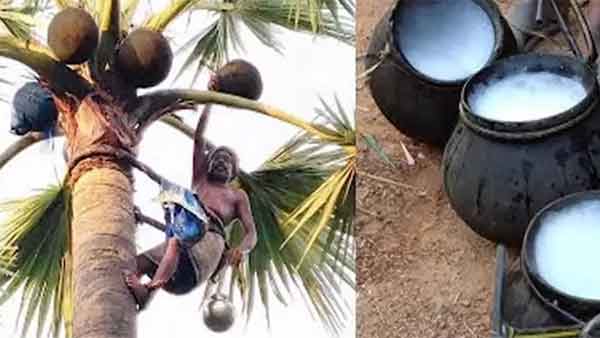 பனைத் தொழிலாளர்கள் 