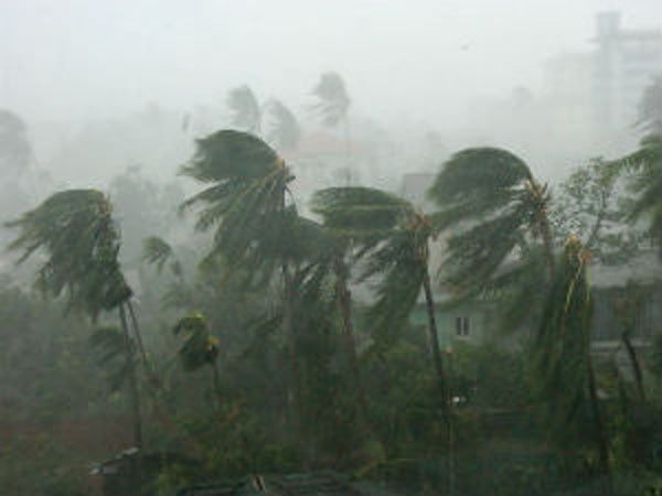 புயல் எச்சரிக்கை கூண்டு 