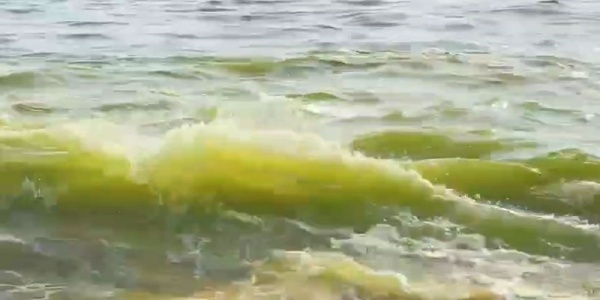 ஆய்வு செய்ய வேண்டும்