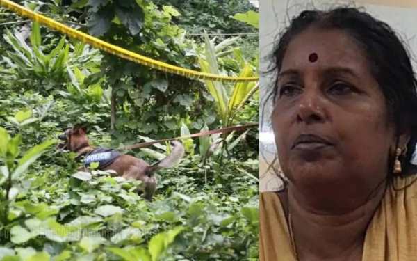  அந்தரங்க உறுப்பு