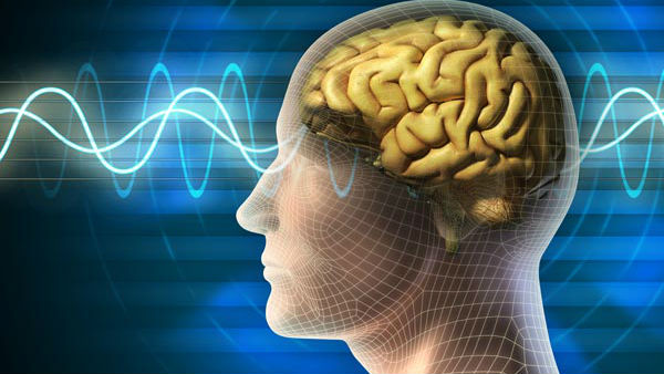 மூளைக்கு புத்துணர்ச்சி 