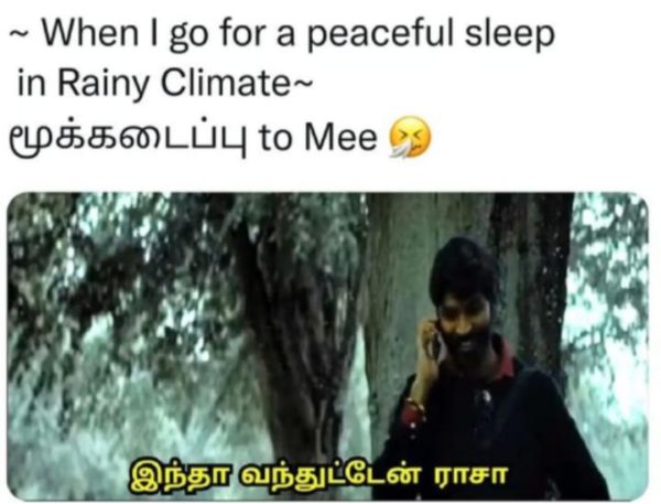 Funny memes collection on cold