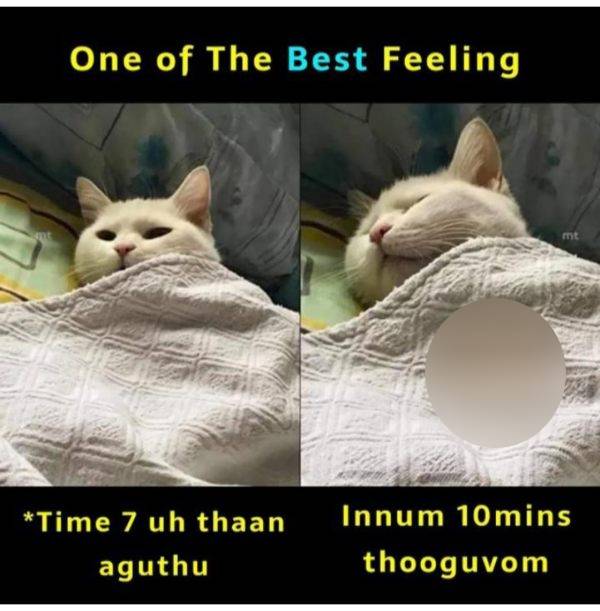 Some Funny memes collection on rain