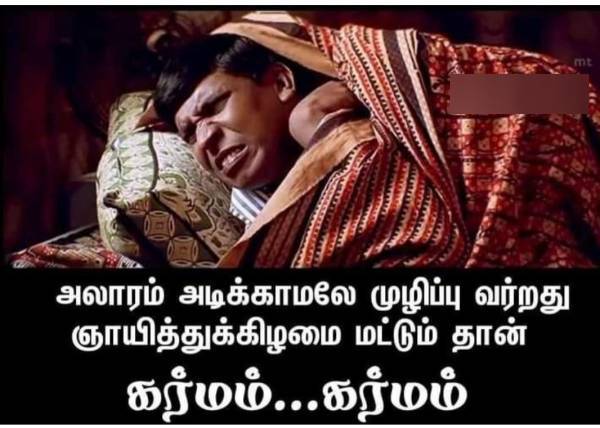 Funny memes collection on sunday 2022-11-13