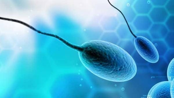 2000ம் ஆண்டுக்கு பின்னர் 