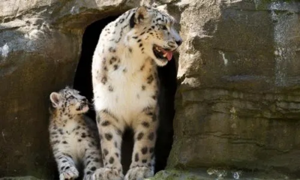 10 சதவிகிதம் குறையலாம் 10 சதவிகிதம் குறையலாம்