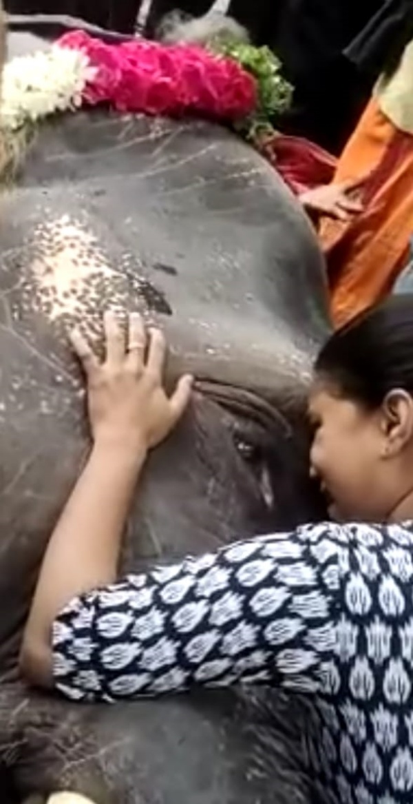 பொதுமக்கள் அஞ்சலி