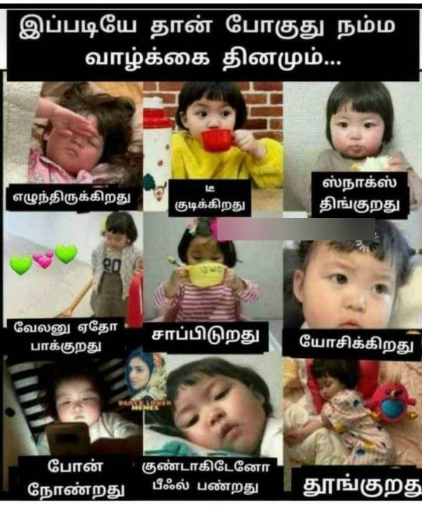 Funny memes collection on sunday 2022-11-13