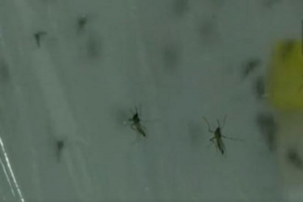 கோரிக்கையை நிராகரித்து