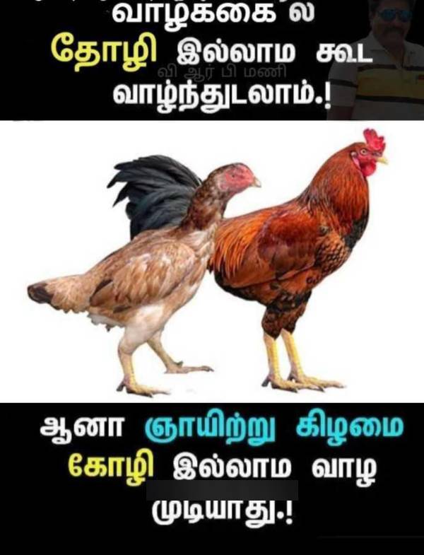 Funny memes collection on sunday 2022-11-13