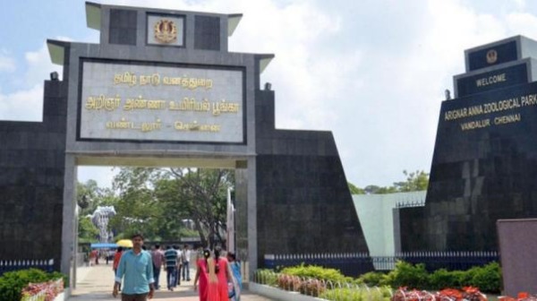 20 லட்சம் பார்வையாளர்கள் 